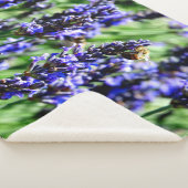 Bee foraging on lavender in the Drôme provencale シェルパブランケット (3/4)