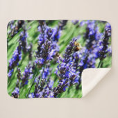 Bee foraging on lavender in the Drôme provencale シェルパブランケット (正面(横))