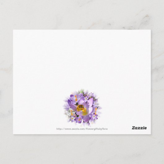 Bee Gathering Nectar from Crocus flowersはがき ポストカード (裏面)