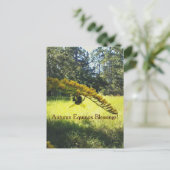 Bee & Goldenrod Autumn Equinox Mabon ポストカード (スタンド正面)