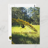 Bee & Goldenrod Autumn Equinox Mabon ポストカード (正面/裏面)