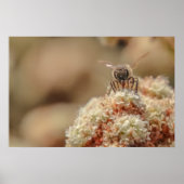 Bee Happy ポスター (正面)