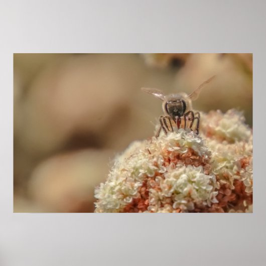 Bee Happy ポスター (正面)