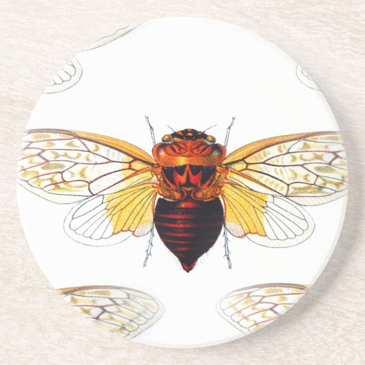 bee hibiscusgarde art コースター (正面)