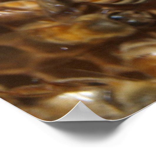 Bee Hive ポスター (角)