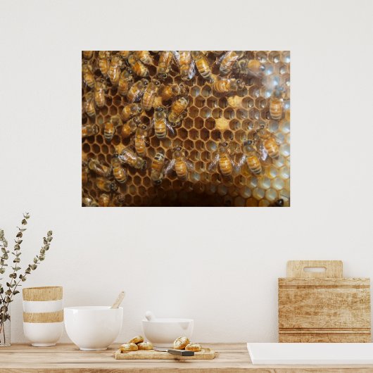 Bee Hive ポスター (キッチン)