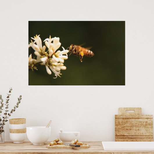 Bee - Honey I'm home ポスター (キッチン)