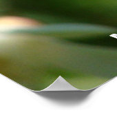 Bee - I'm, 忙しBuzz Off - Poster ポスター (角)