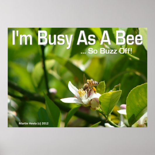 Bee - I'm, 忙しBuzz Off - Poster ポスター (正面)