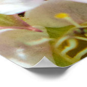 Bee in the Neighborhood 28x24アーカイブプリント ポスター (角)