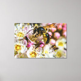 Bee In The Neighborhood Canvas Print 36 x 24 キャンバスプリント