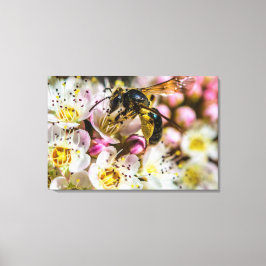 Bee In The Neighborhood Canvas Print 36 x 24 キャンバスプリント