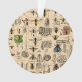 Bee Insect Bug Wasp Natural History Bees オーナメント (正面)