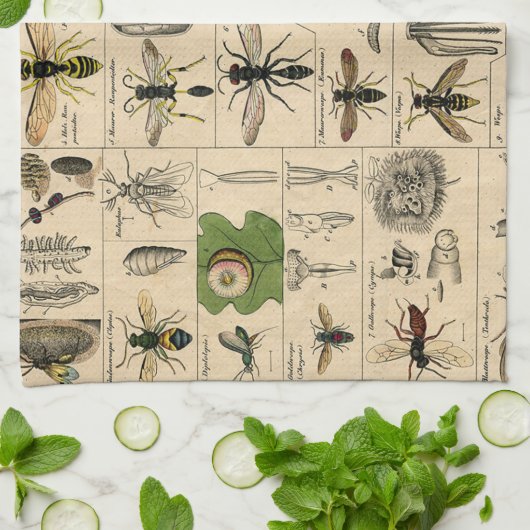 Bee Insect Bug Wasp Natural History Bees キッチンタオル (折り畳み)