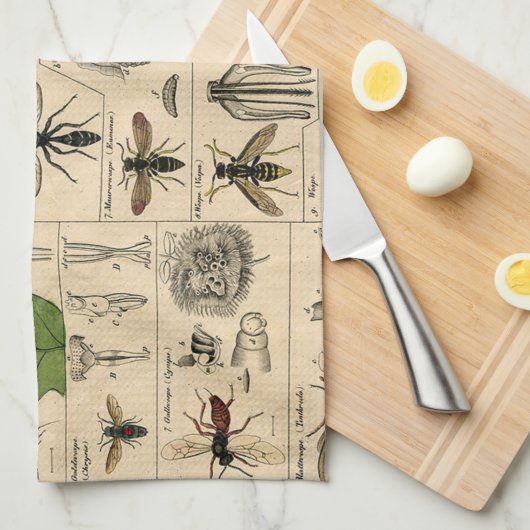 Bee Insect Bug Wasp Natural History Bees キッチンタオル (四つ折り)