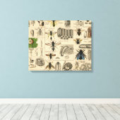 Bee Insect Bug Wasp Natural History Bees キャンバスプリント (インサイチュ (ウッドフロア))