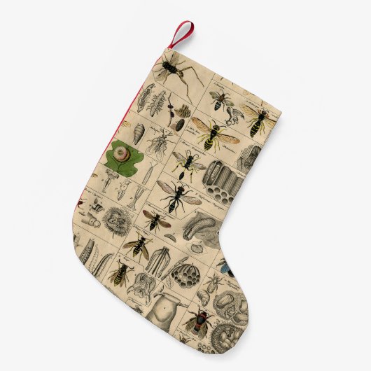 Bee Insect Bug Wasp Natural History Bees スモールクリスマスストッキング (正面 (吊り時))