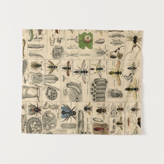 Bee Insect Bug Wasp Natural History Bees タペストリー (正面(横))