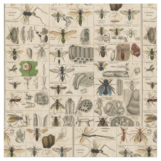 Bee Insect Bug Wasp Natural History Bees ファブリック (クローズアップ)