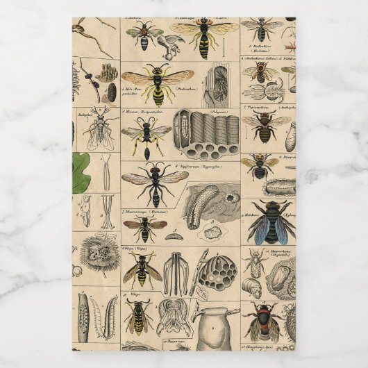 Bee Insect Bug Wasp Natural History Bees フードラベル (シングルラベル)