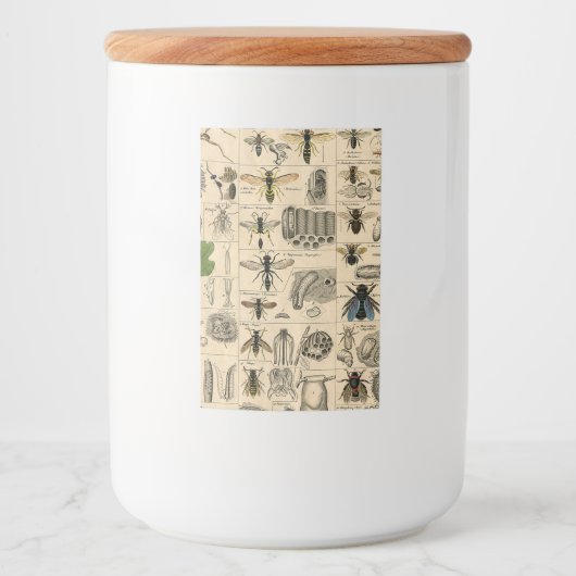 Bee Insect Bug Wasp Natural History Bees フードラベル (正面)