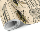 Bee Insect Bug Wasp Natural History Bees ラッピングペーパー (ロールコーナー)