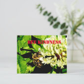 Bee Kindはがき ポストカード (スタンド正面)