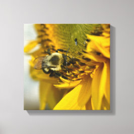 Bee on 忙し a sunflower キャンバスプリント