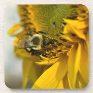 Bee on 忙し a sunflower コースター