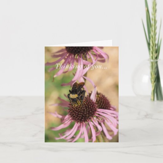 Bee On 考える Black Eed Susan Pano カード (正面)