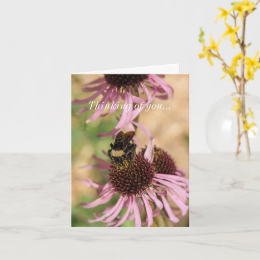 Bee On 考える Black Eed Susan Pano カード (黄色い花)