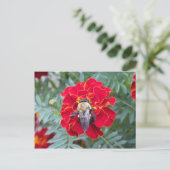 Bee on a Flowerはがき ポストカード (スタンド正面)