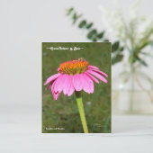 Bee on a Pink Coneflower Postagrapes ポストカード (スタンド正面)