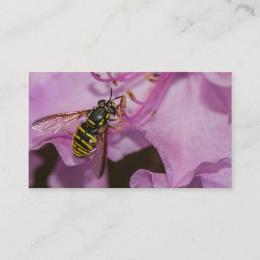 Bee on a Purple flower 名刺 (正面)