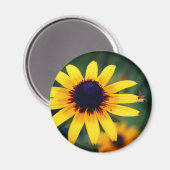 Bee On Black Eyed Susan Flower Nature  マグネット (正面/裏面)