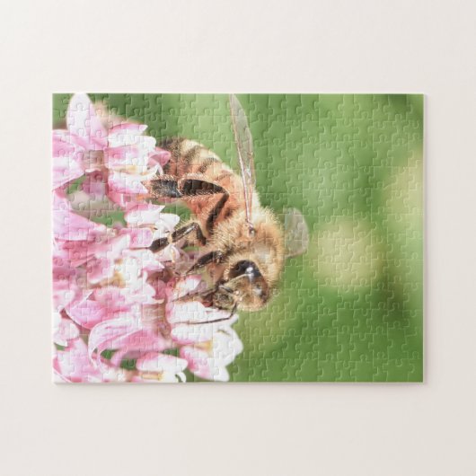 Bee on blossom  ジグソーパズル (横)