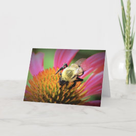 Bee on Coneflower,カード カード