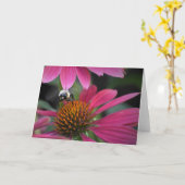 Bee on Coneflower，カード カード (黄色い花)
