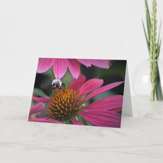 Bee on Coneflower，カード カード (正面)