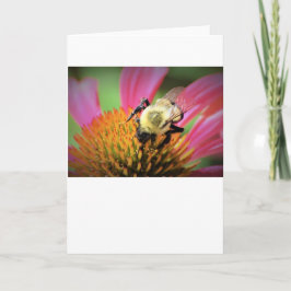 Bee on Coneflower，カード カード