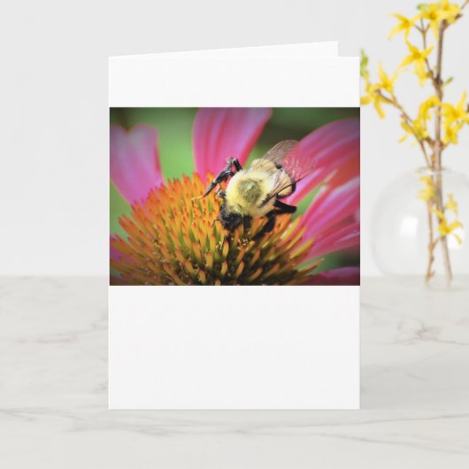 Bee on Coneflower，カード カード (黄色い花)
