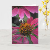 Bee on Coneflower,カード カード (黄色い花)