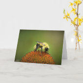 Bee on Coneflower,カード カード (黄色い花)