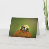 Bee on Coneflower,カード カード (正面)