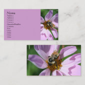 Bee on Cosmos自然写真名刺 名刺 (正面/裏面)