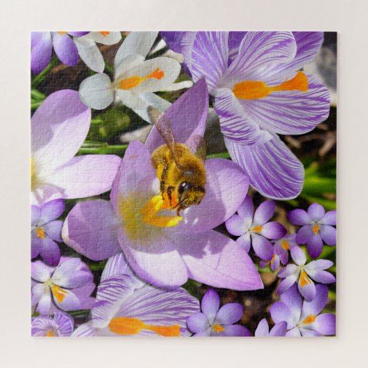Bee on Crocus Flowers ジグソーパズル (横)
