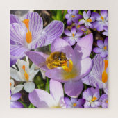 Bee on Crocus Flowers ジグソーパズル (縦)