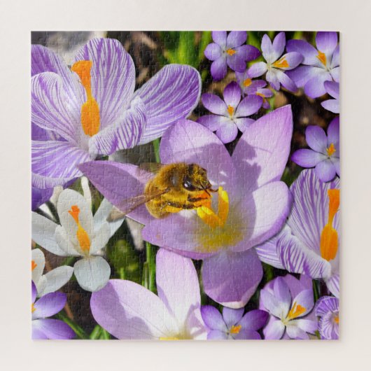 Bee on Crocus Flowers ジグソーパズル (縦)