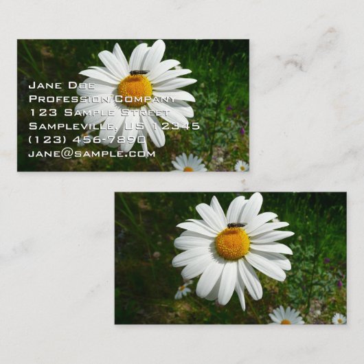 Bee on Daisy Alaskan Summer Nature Photo 名刺 (正面/裏面)