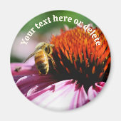 Bee On Echinacea Flower Personalized マグネット (正面)